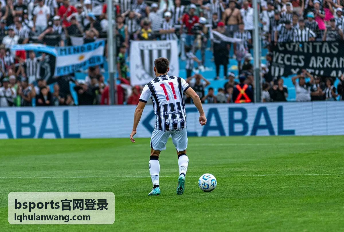 bsports官网登录入口页面示意