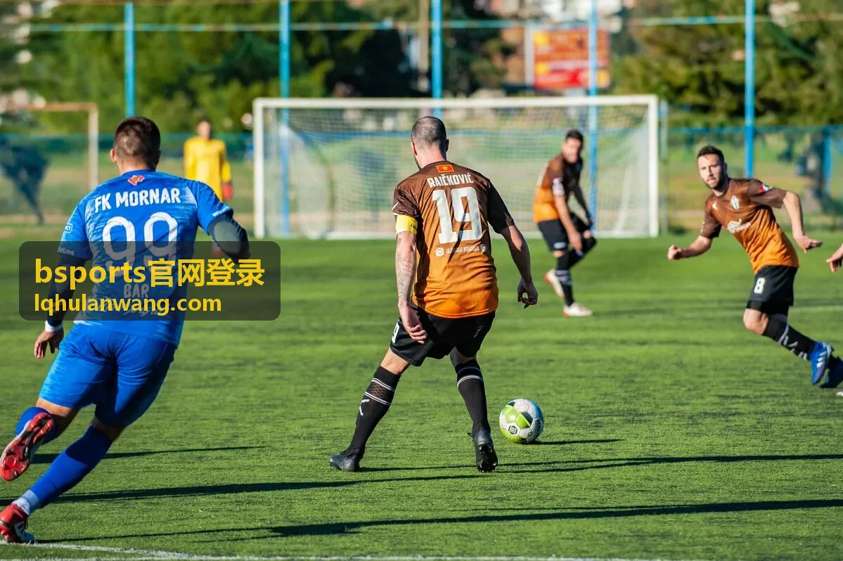 bsports官网登录 网络环境与浏览器检查示意图